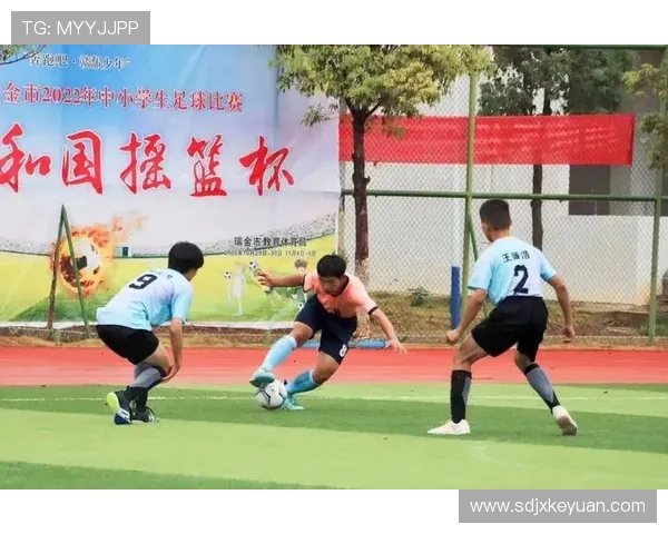 绿茵逐梦新时代中国足球振兴与青训体系全面发展探析