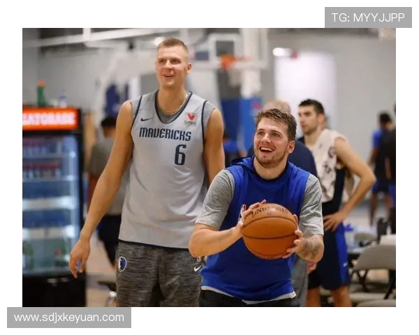 达拉斯独行侠新赛季展望球员动态与战术调整深度解析