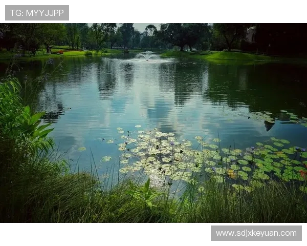 宁波町渥：探索这座城市的文化底蕴与现代魅力交融的独特魅力