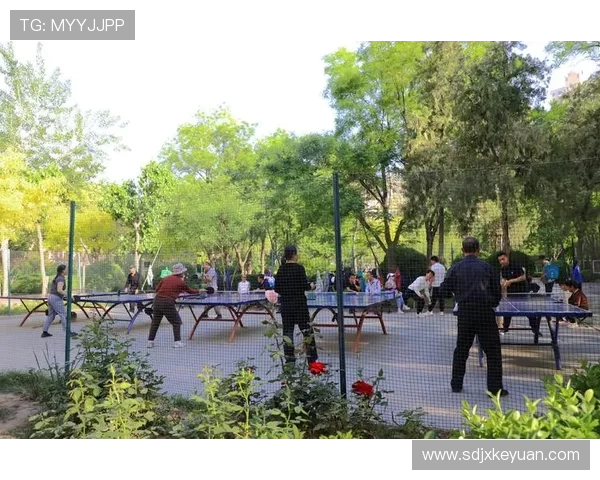 以体育运动促进全民健康和社会和谐发展打造积极向上的生活方式