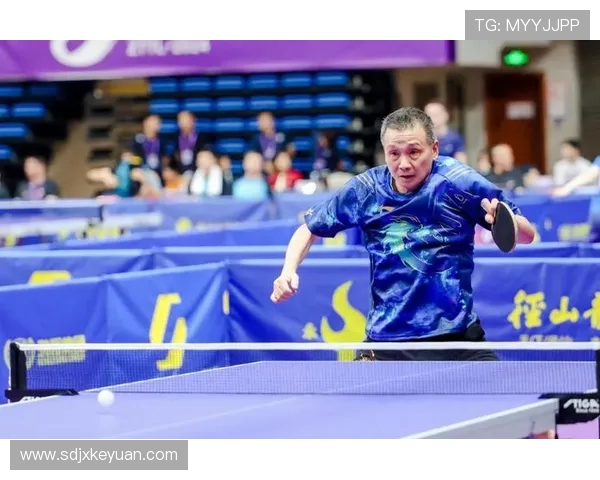 乒乓球运动的历史发展与现代竞技技术的革新探讨 乒乓球运动的历史发展与现代竞技技术的革新探讨