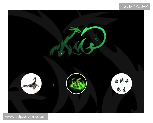 南京枫帆战队凝聚青春力量奋勇争先谱写电竞荣耀新篇章