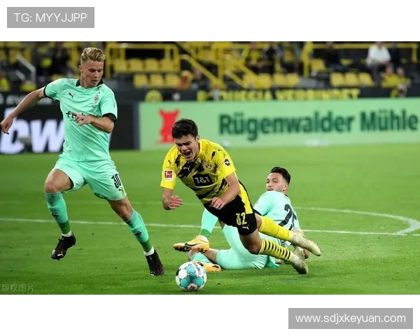 多特蒙德与门兴迎来德甲焦点大战 两队力争三分争夺欧战资格