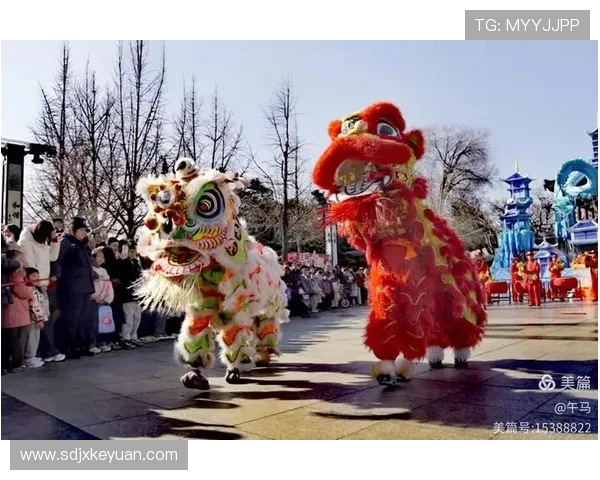 沧州雄狮崛起展现中国传统文化魅力与现代力量的完美融合