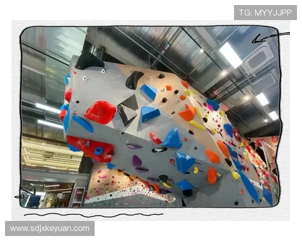 杭州攀岩队在全国攀岩战术排行榜中荣获第十名的荣耀时刻