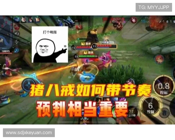 王者荣耀新手必看全方位节奏入门攻略助你快速上手游戏技巧