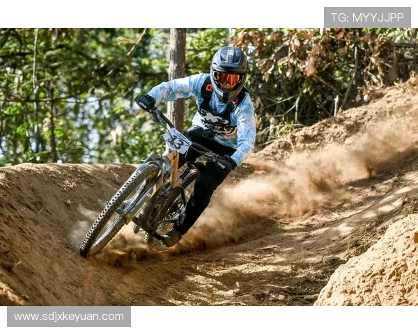 探索全球体育赛事的魅力与挑战：从奥运会到极限运动的多样性与发展