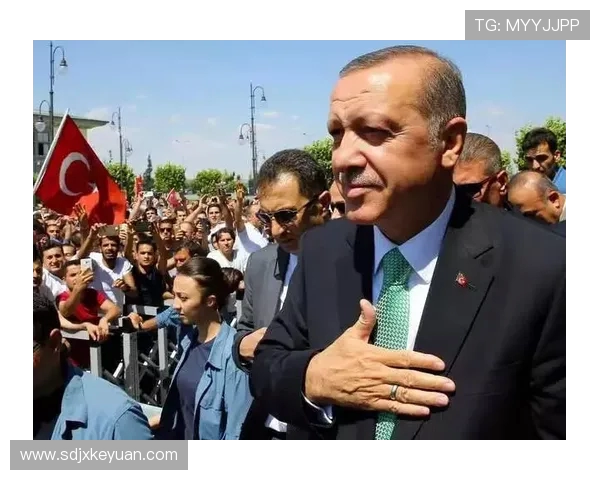 土耳其与瑞典激战正酣比赛结果揭晓引发热议