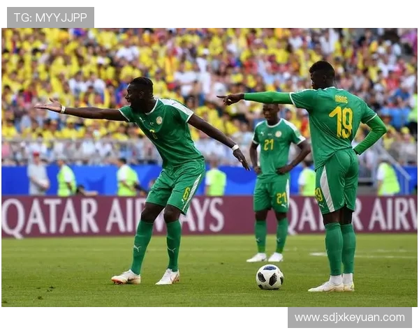 巴西与沙特热身赛前瞻分析两队实力对比与战术布局探讨